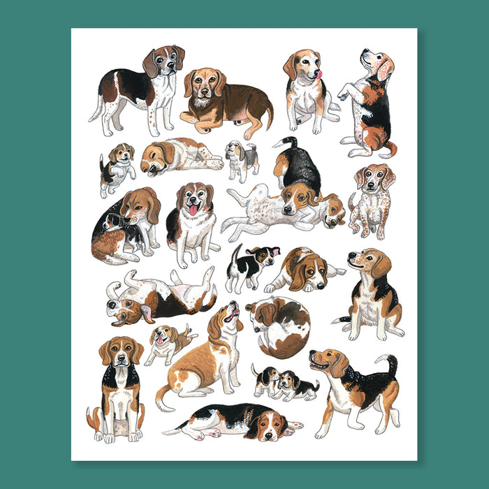 Beagle Print