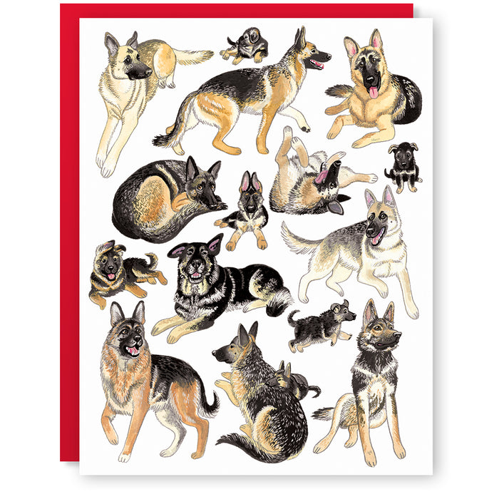 German Shepherds Card